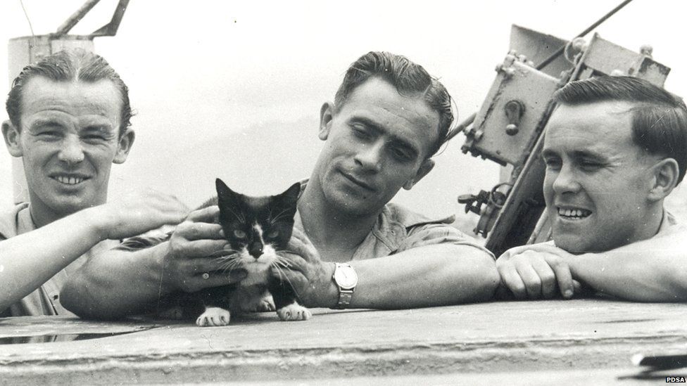 Simon, el gato, con la tripulación del HMS Amethyst